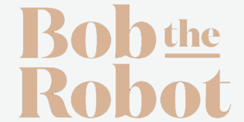 Bob The Robot